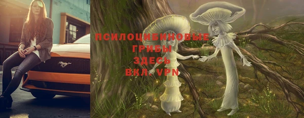 метадон Липки