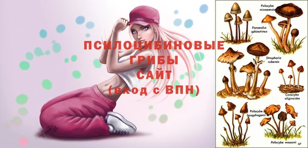 метадон Липки